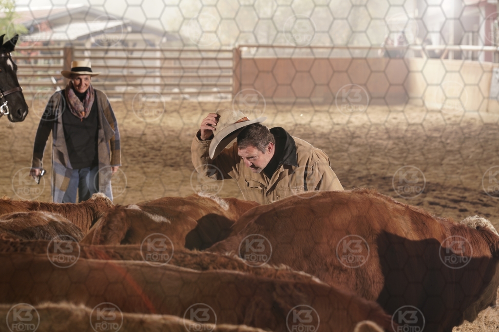 s_K3F08745.JPG